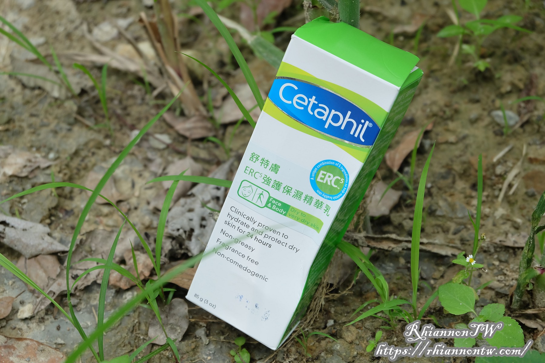 PhotoCap_DSCF7741_001Blog